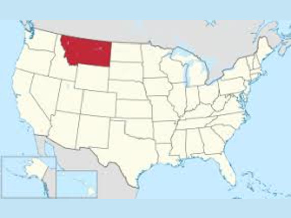 US MSB (Montana) for sale