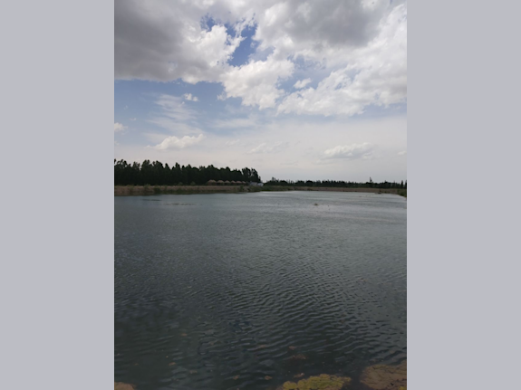 For Sale: Agricultural Business with 7 Hectares