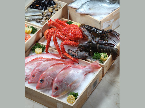 Australia Seafood Group