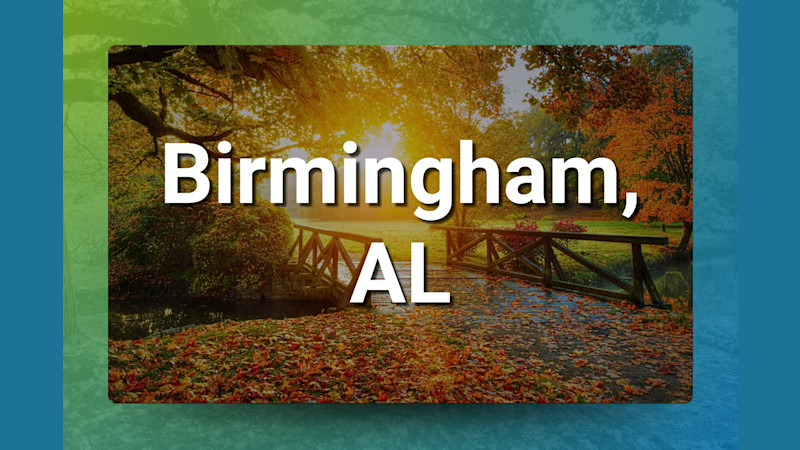 Birmingham, AL Chiropractic Practice for Sale