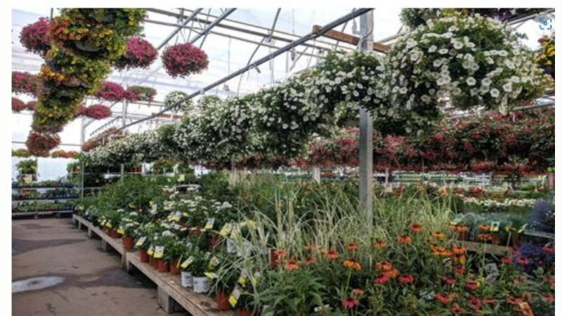 Lowered the Price to $299,999 Successful Plant Nur