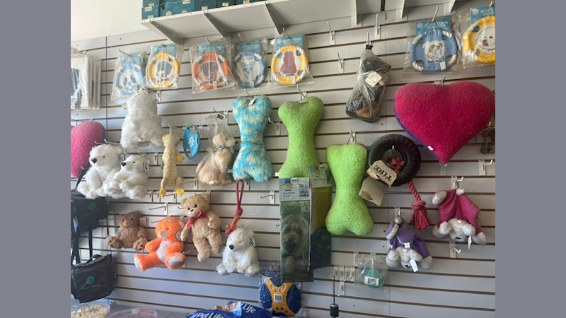 Pet Supplies and Dog Grooming for Sale in NY
