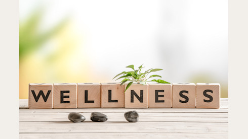 Wellness Center (Broward County Florida)