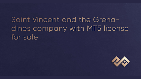 St. Vincent & Grenadines Company With MT5 License