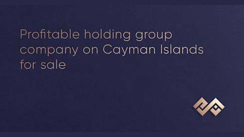 Profitable Holding Group Company on Cayman Islands
