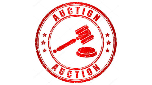 Liquidation Auction Franchise
