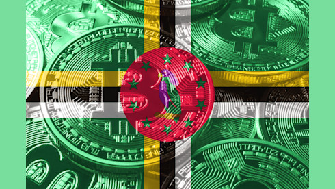 Dominica Multi-Activity +VASP Financial License