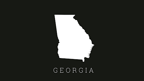 Eastman, GA, Practice for Sale