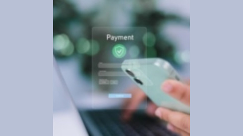 Licensed European Payment Institution