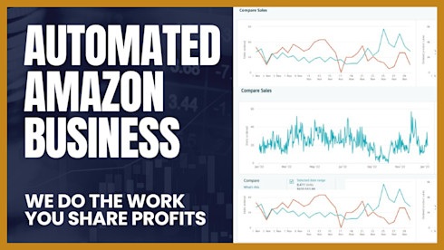 Passive Amazon Wholesale Store: We Do the Work