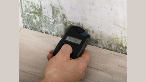 Profitable & Established Mold Remediation & Const.