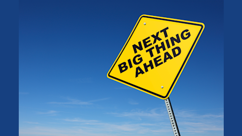 Seeking Someone to Raise For the Next Big Thing