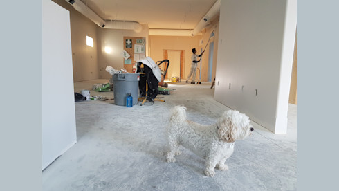 Fix/Flip Loans Close within 5 days No Appraisals