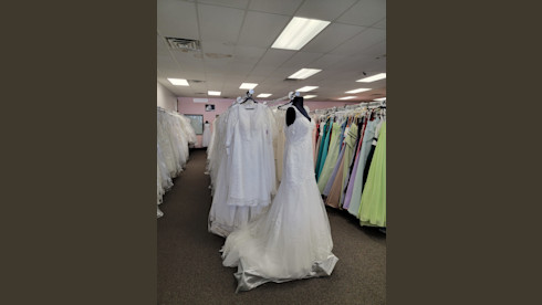 Business Opportunity Only