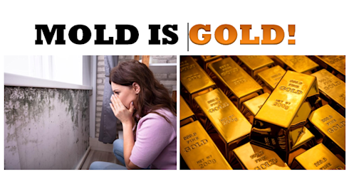 Established Mold Testing