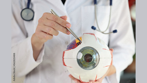 Established Ophthalmology Practice Palm Coast, FL