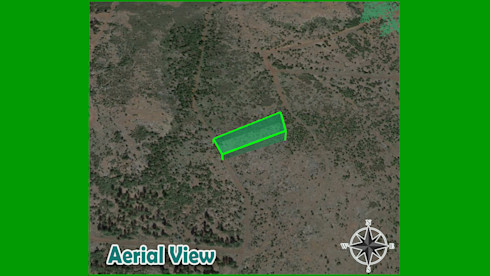 1.17 Acre-land Nestled in Modoc County, CA