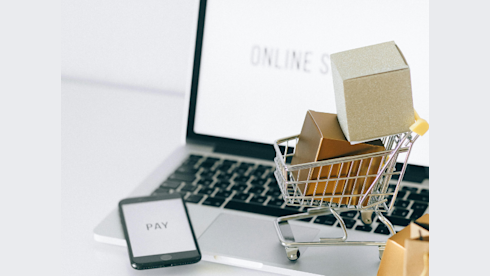 eComm Portfolio of 10 Brands / Amazon FBA Channel