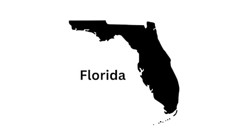 Cash Chiro Neuropathy Clinic For Sale Sarasota Fl