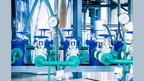 1-MW Biogas Power Plant with Farm in Slovakia