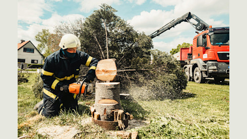 Tree Removal Business for Sale