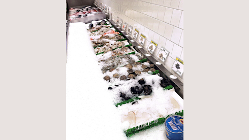 Established Seafood Market For Sale in NY