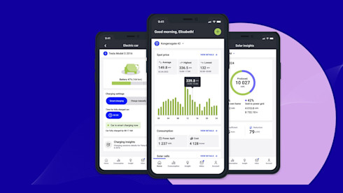 Software For Electricity Providers