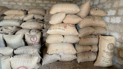 Raw Dried Cashews - Less than 10%MC