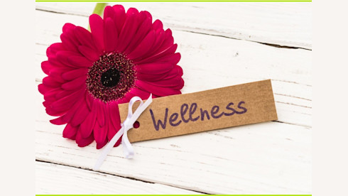 Profitable, Established, Home-Based, National Wellness Coaching