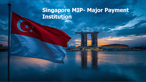 Singapore MIP- Major Payment Institution for sale