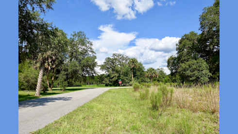 Prime Homesite, Dunnellon Florida