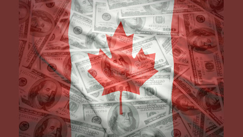 Federal Canadian MSB Licensed Company For Sale