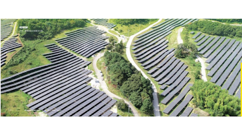 Grid-Connected Solar Farm + Battery Project