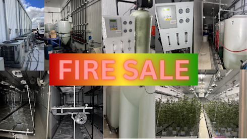 Fire Sale: $2.5M Cannabis Cult & Dist Now $600K