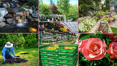 $2.4M Garden, Landscape Design & Arborist