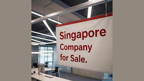 Company for Sale in Singapore – Ready-to-Transfer