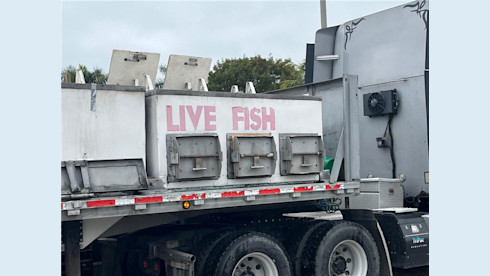 Tilapia Fish Farm For Sale