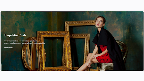 Profitable Lifestyle Ecommerce Marketplace