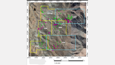 Greenfield in Porphyry District with Cu-Au.