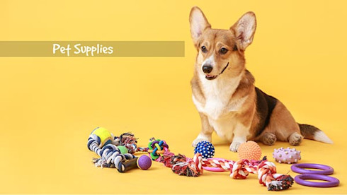 Amazon Affiliate Pet Supply Website - Automated