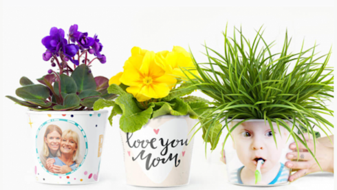 5 Years Working Business With A Top Amazon Account