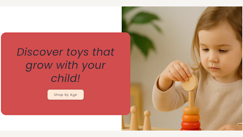Profitable Ecommerce Montassori Toy Store
