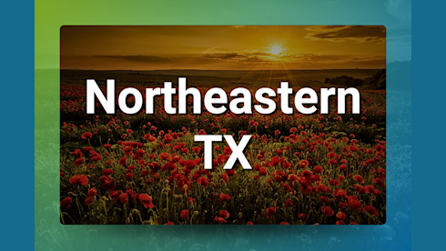 Thriving Northeast TX Clinic with Real Estate