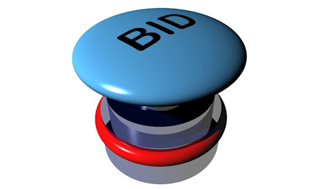 Profitable, Well Established, Online Auction