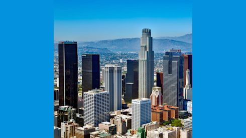 2-Doctor Vet Practice for Sale in LA County