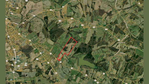 Online Real Estate Auction