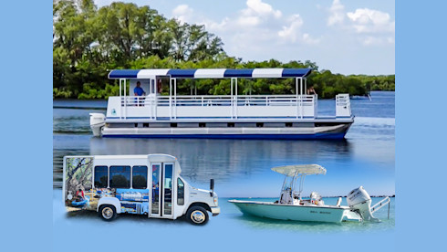 Eco-tourism Passenger Cruise Business with Buses