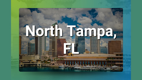 North Tampa FL Chiropractic Practice for Sale