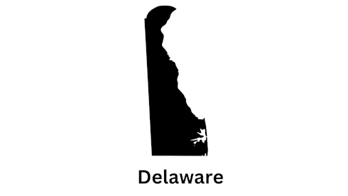 Wilmington Delaware Chiropractic Practice for Sale