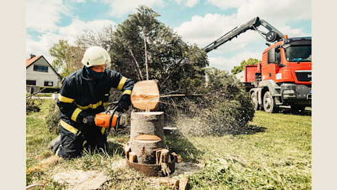 Tree Service With Real Estate Investment